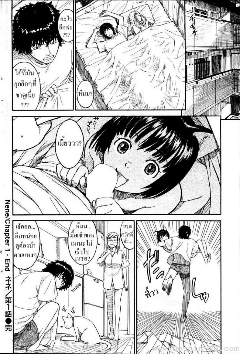 เนเนะ นางแมวสาว [Naruko Hanaharu] Neneเนเนะ นางแมวสาว 1 หน้า 16