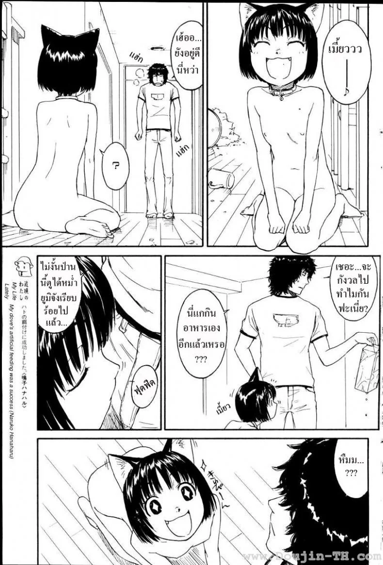 เนเนะ นางแมวสาว [Naruko Hanaharu] Neneเนเนะ นางแมวสาว 2 หน้า 13