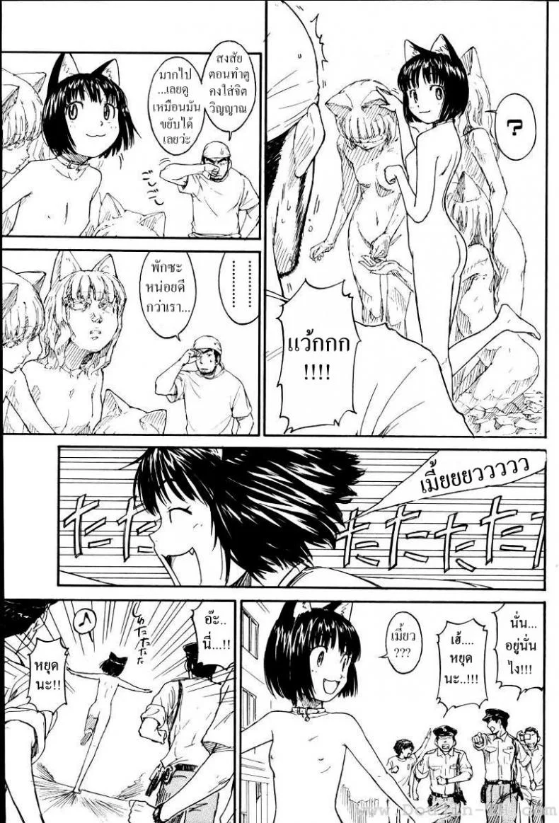 เนเนะ นางแมวสาว [Naruko Hanaharu] Neneเนเนะ นางแมวสาว 3 หน้า 9