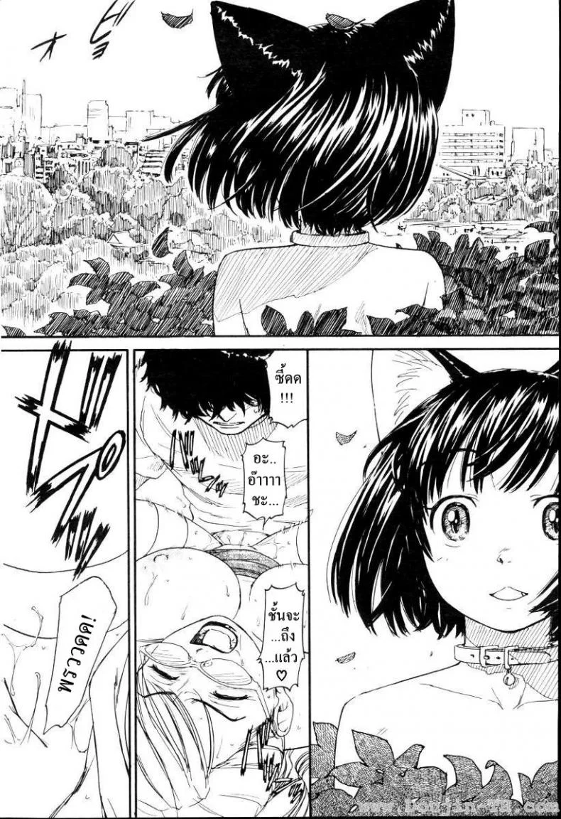 เนเนะ นางแมวสาว [Naruko Hanaharu] Neneเนเนะ นางแมวสาว 3 หน้า 12