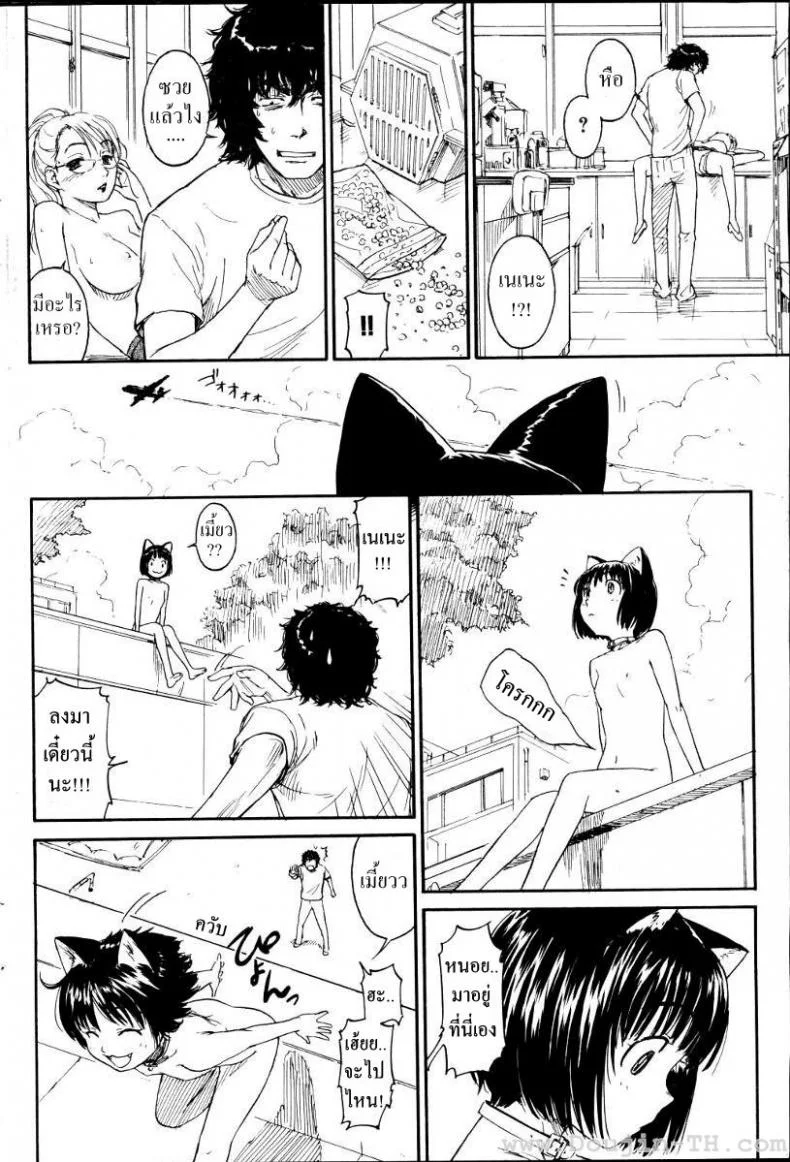 เนเนะ นางแมวสาว [Naruko Hanaharu] Neneเนเนะ นางแมวสาว 3 หน้า 14
