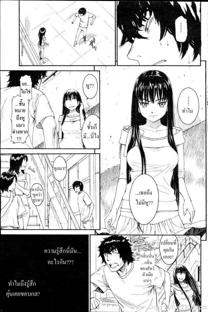เนเนะ นางแมวสาว [Naruko Hanaharu] Neneเนเนะ นางแมวสาว 6 หน้า 7