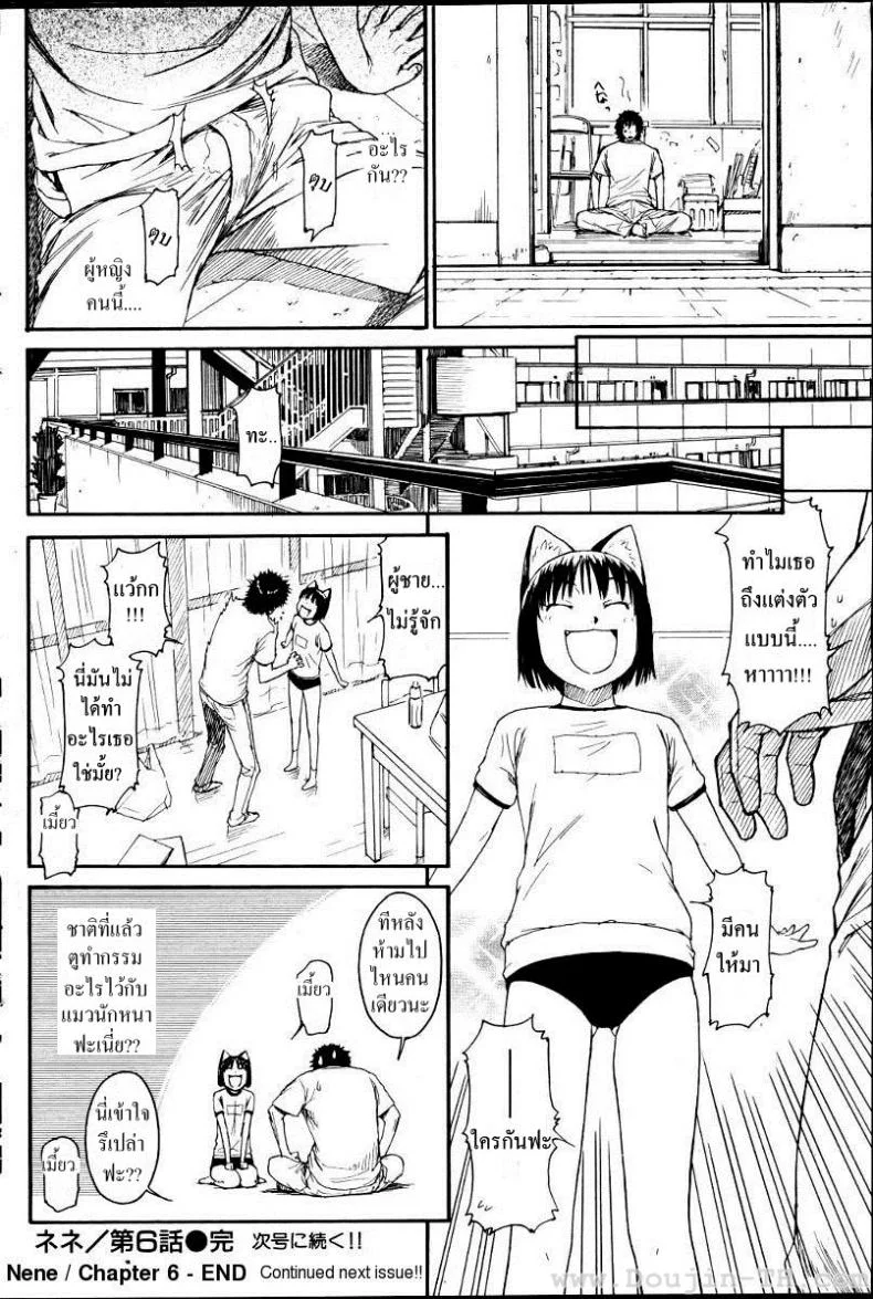 เนเนะ นางแมวสาว [Naruko Hanaharu] Neneเนเนะ นางแมวสาว 6 หน้า 16