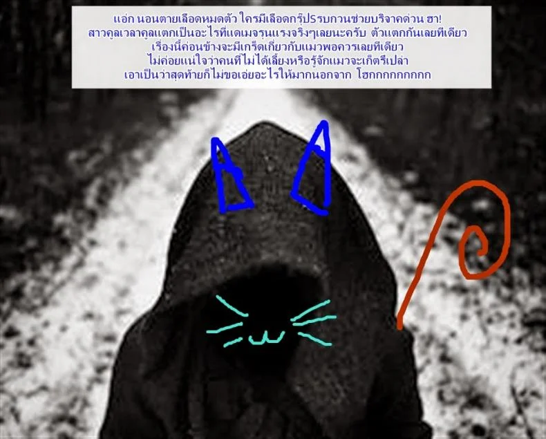 ชั้นน่ารักกว่าแมวใช่ไหม [Nekoi Hikaru] Neko.Kawaii desyo (COMIC Aun 2014-12) หน้า 23