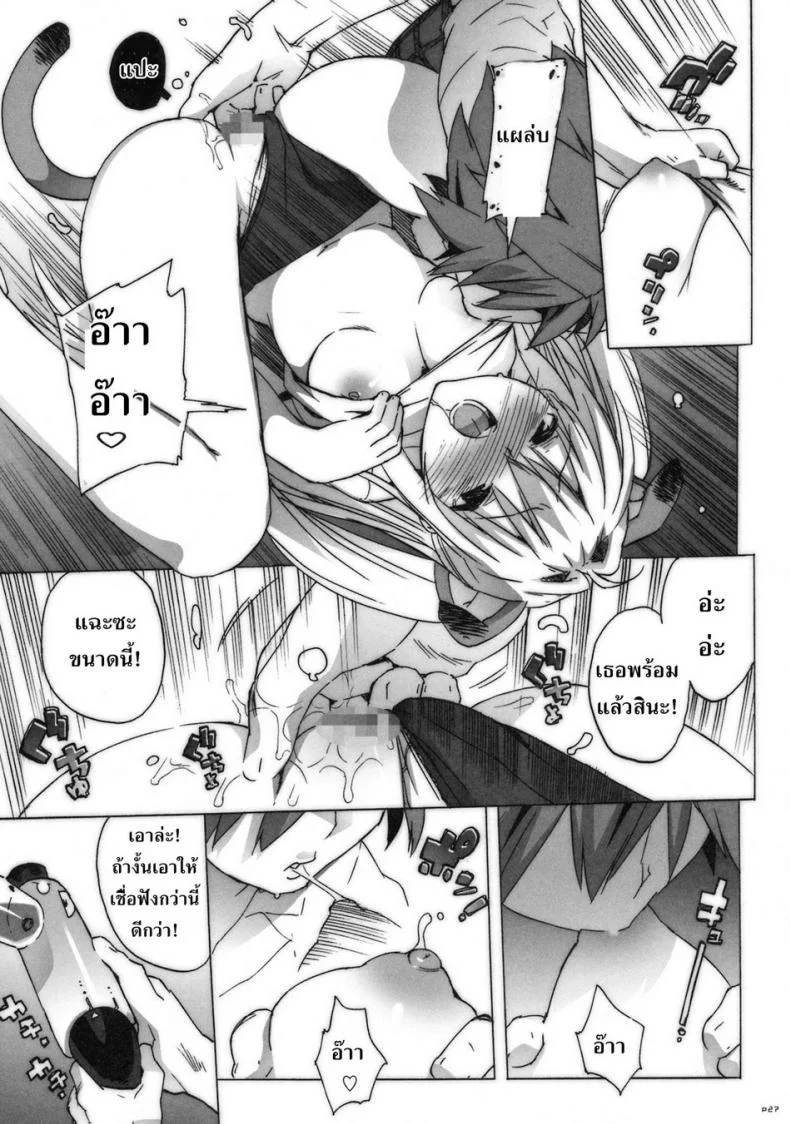 คอสเพลย์เปลี่ยนนิสัย [Number2 (Takuji)] Kosu Tora (To LOVE ru) หน้า 25