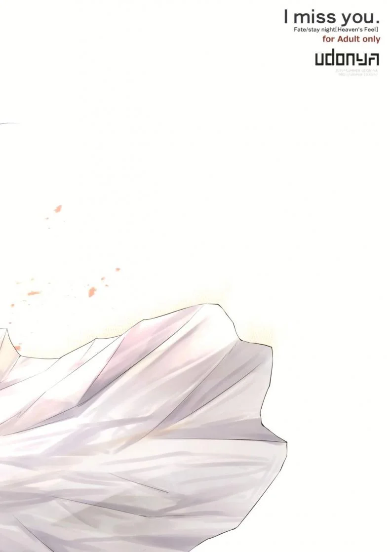 (C96) [UDON-YA (Kizuki Aruchu, ZAN)] I miss you. (Fate-stay night) หน้า 19