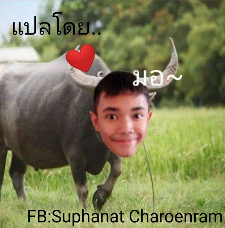 วิธีเป็นซุปเปอร์ไซย่าขั้น3 [Drah Navlag] Lets Go Go Big Fuck - How To Stupid หน้า 19