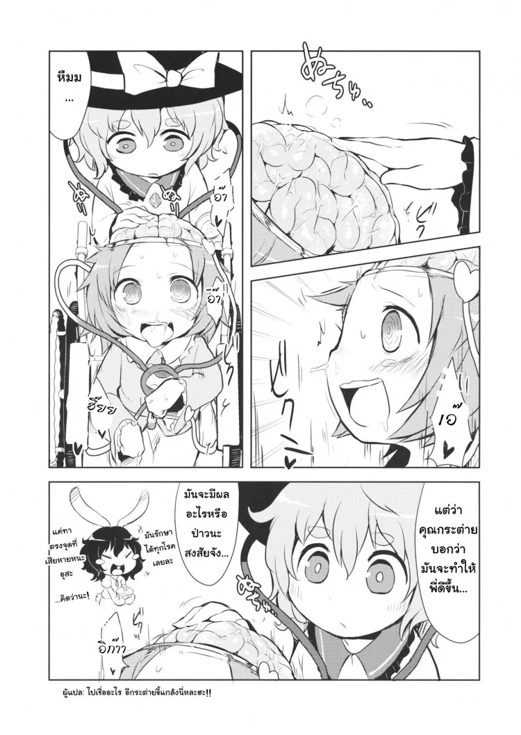 รวมกันเราอยู่ (Reitaisai 13) [02 (Harasaki)] FREAKS OUT! (Touhou Project) หน้า 9