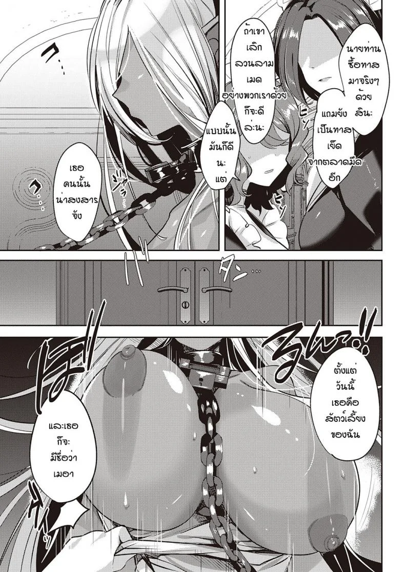 ได้ดาร์กเอลฟ์เป็นสัตว์เลี้ยง [Mitsuashi] Dark Elf no Koufukuron หน้า 9