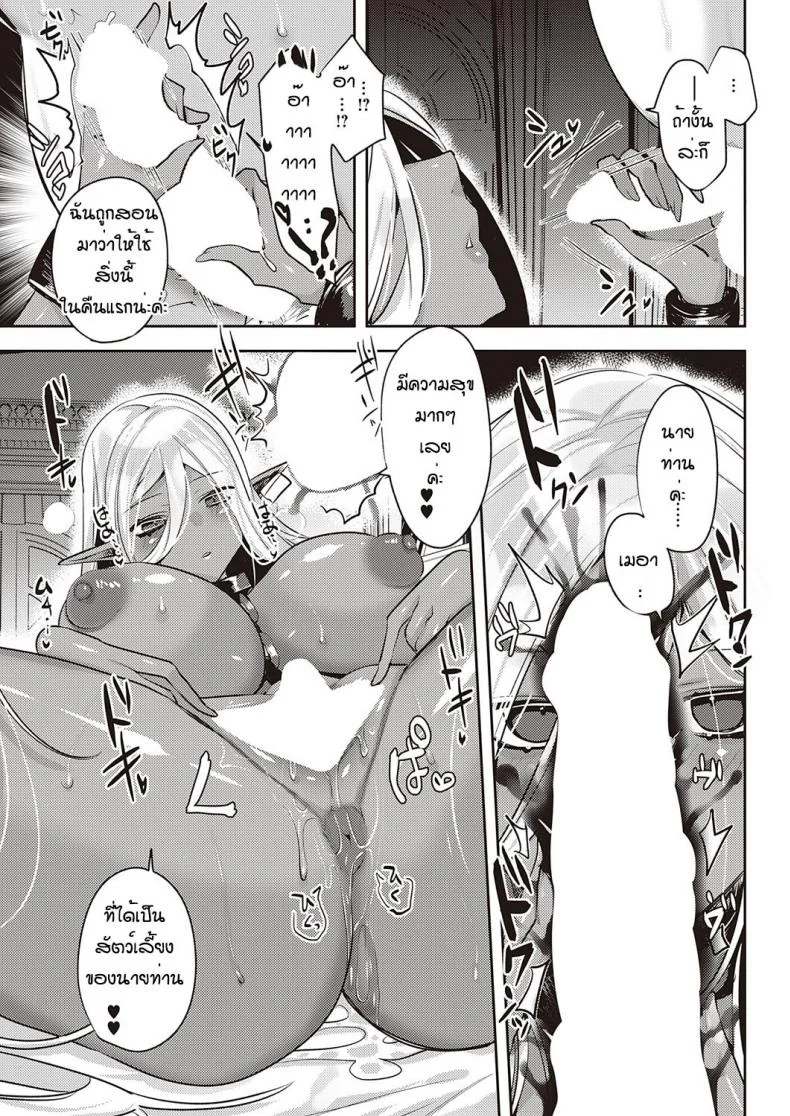 ได้ดาร์กเอลฟ์เป็นสัตว์เลี้ยง [Mitsuashi] Dark Elf no Koufukuron หน้า 17