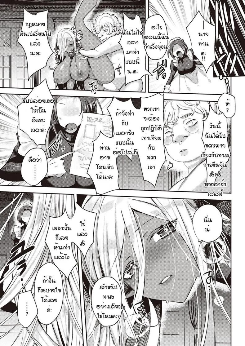 ได้ดาร์กเอลฟ์เป็นสัตว์เลี้ยง [Mitsuashi] Dark Elf no Koufukuron หน้า 25