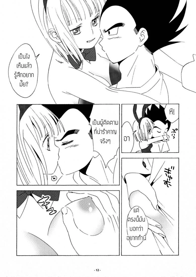 ของขวัญวันแต่งงาน [S-FLAKE (Yukimitsu)] DRAGON NIGHT2 (Dragon Ball Z) หน้า 11