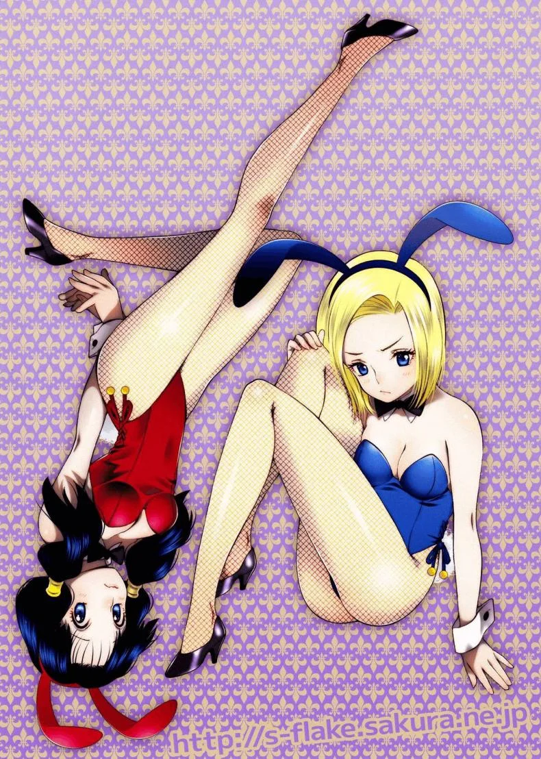 ของขวัญวันแต่งงาน [S-FLAKE (Yukimitsu)] DRAGON NIGHT2 (Dragon Ball Z) หน้า 14