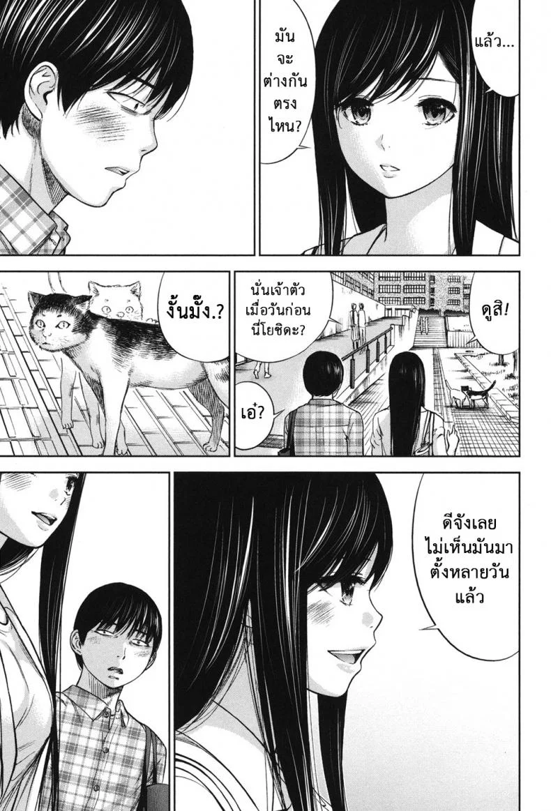 บาปร้ายซ่อนราคะ [Shikishiro Konomi] Ayamachi, Hajimemashiteบาปร้ายซ่อนราคะ 18 หน้า 13