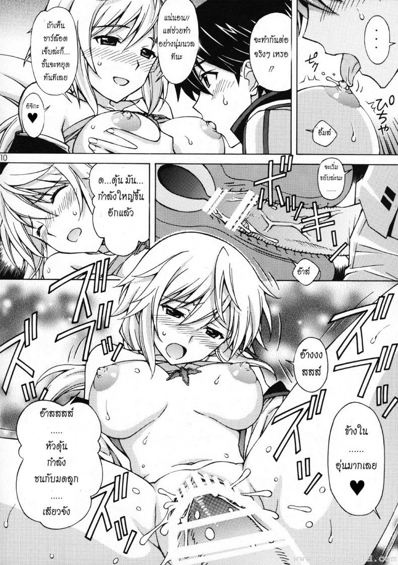 ความลับของสองเรา [Shimekiri Sanpunmae (Tukimi Daifuku)] Charlotte no Okurimono (Infinite Stratos) หน้า 9