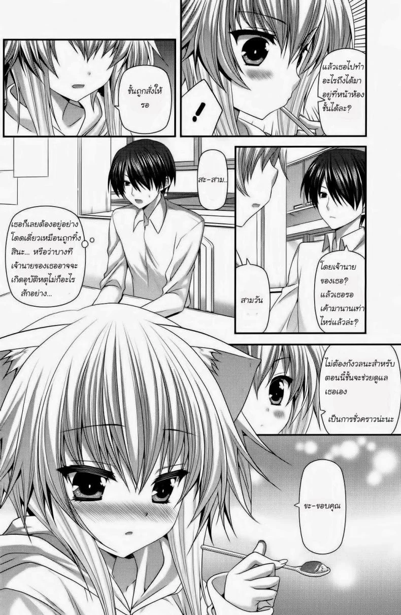 เด็กหูแมว [Suigetsu Arumi] Lonely Cat (Comic Potpourri club 12-2012) หน้า 4