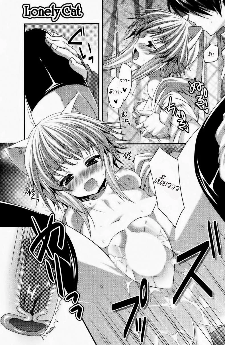เด็กหูแมว [Suigetsu Arumi] Lonely Cat (Comic Potpourri club 12-2012) หน้า 13