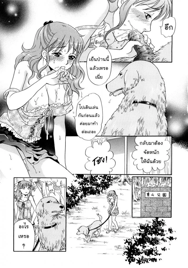 แฟนของฉันเป็นน้องหมา [Tsukimori Masato] Houkago wa Juukan | After-school Bestiality (Kemono For Essential 6) หน้า 13