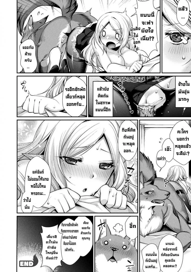 มนุษย์หมาป่ากับคุณหนูไร้เดียงสา [Konshin] Chuukenppoi หน้า 18
