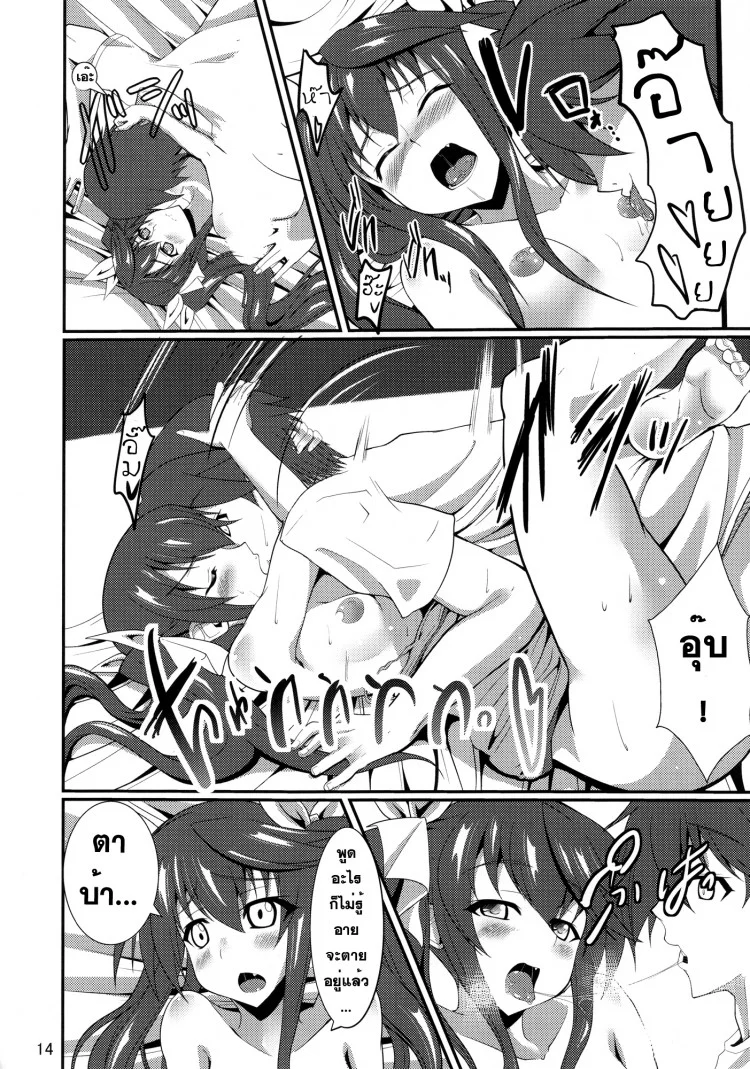 เซซิเลีย x หลิน Infinite StratosInfinite Stratos หน้า 14