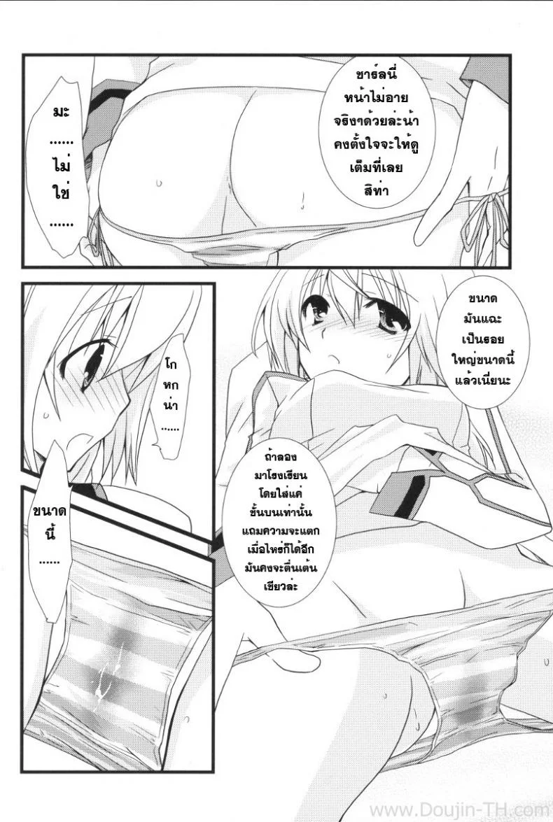 อุปกรณ์ประกอบการเสร็จกิจ [Yamabuki Mook] MINI! (Infinite stratos) หน้า 11