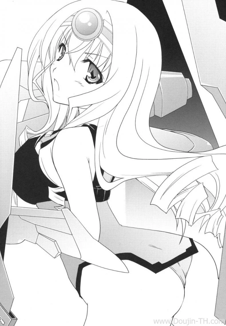 อุปกรณ์ประกอบการเสร็จกิจ [Yamabuki Mook] MINI! (Infinite stratos) หน้า 31