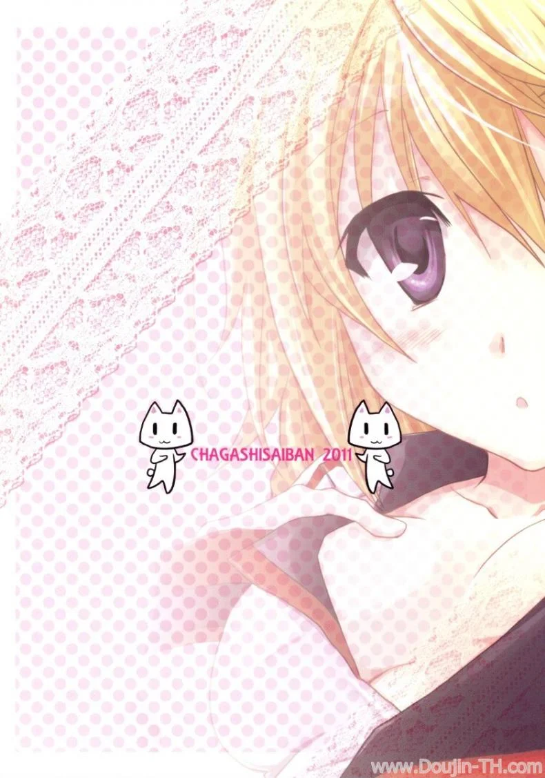 อุปกรณ์ประกอบการเสร็จกิจ [Yamabuki Mook] MINI! (Infinite stratos) หน้า 34