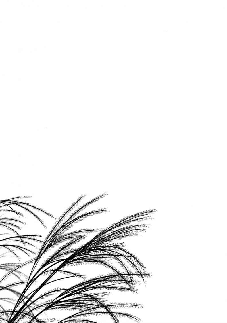 ปล้ำเด็กก่อนเมนส์มา [yukino minato] Hikari no Kimi no Saganaki Keikaku | Lord Hikaru's Cunning Plan (noraneko-no-tama) หน้า 21