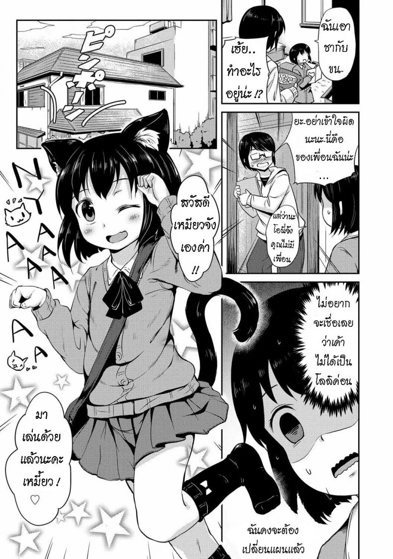 น้องแมว ทามะจัง [Broiler] Tama-chan หน้า 5