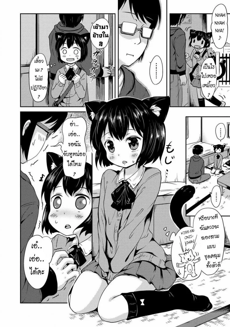น้องแมว ทามะจัง [Broiler] Tama-chan หน้า 6